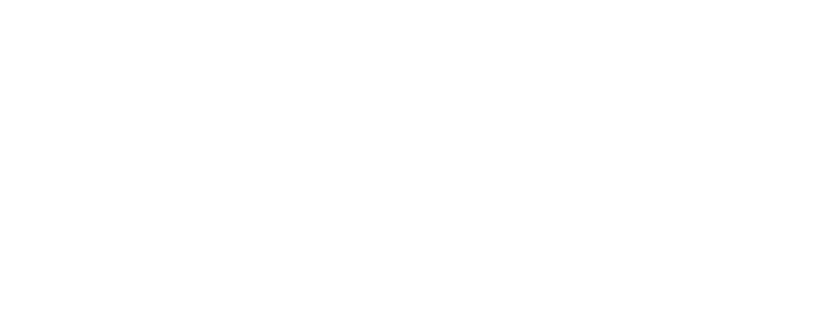 Swissbit