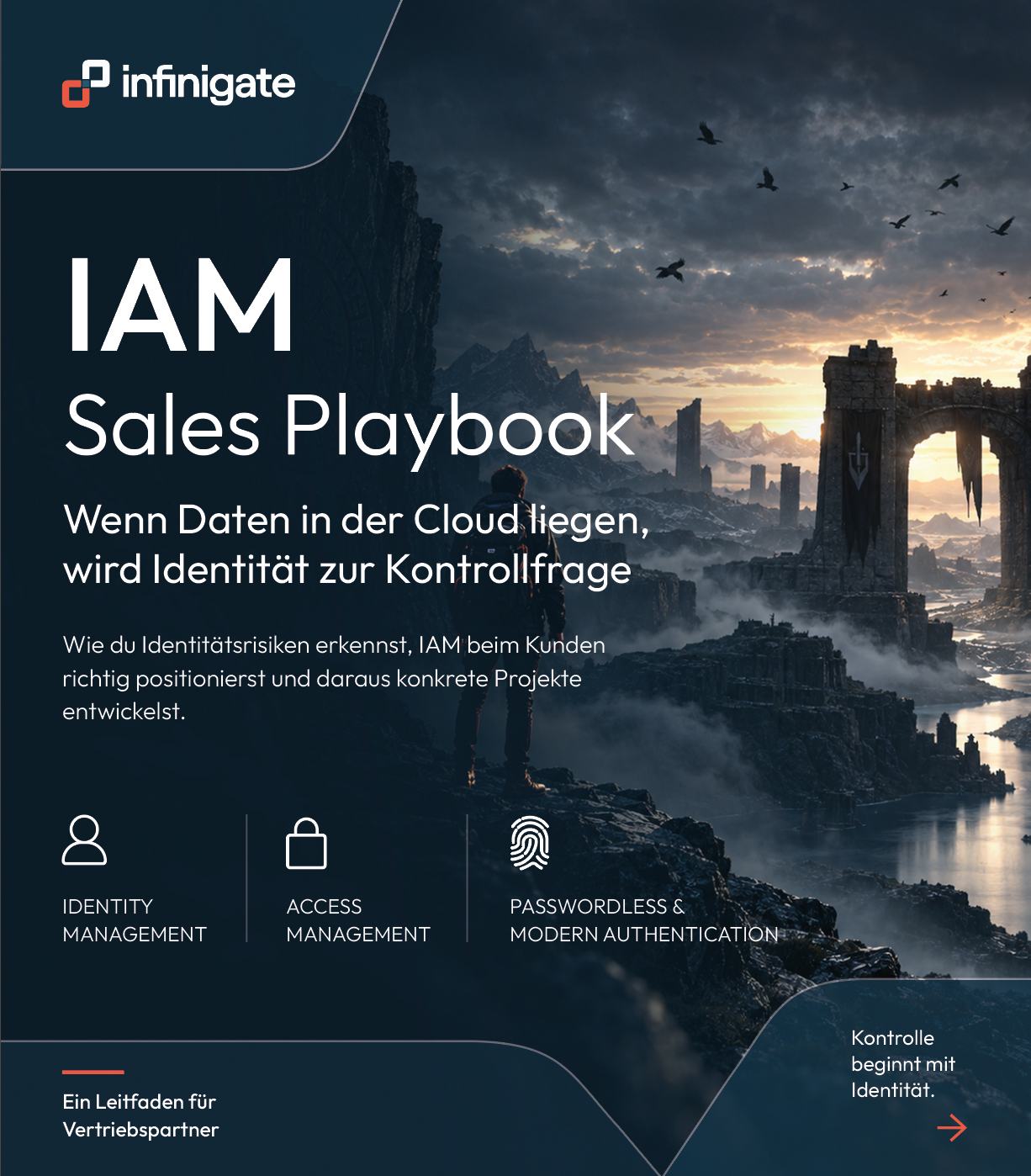 IAM Sales Playbook