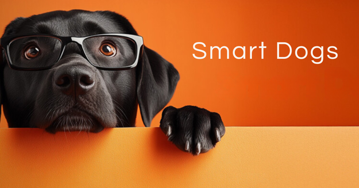 Jetzt auf WiFi 7 umrüsten - der perfekte Zeitpunkt für den Umstieg.