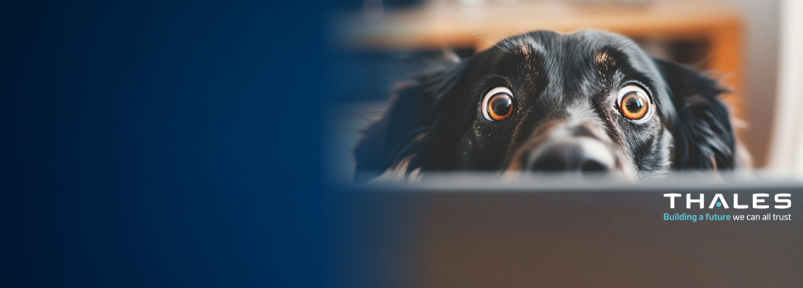 Thales FIDO als vollwertige-MFA-Lösung nutzen können. Webinar am 17.07.2025.10 - 11 Uhr.