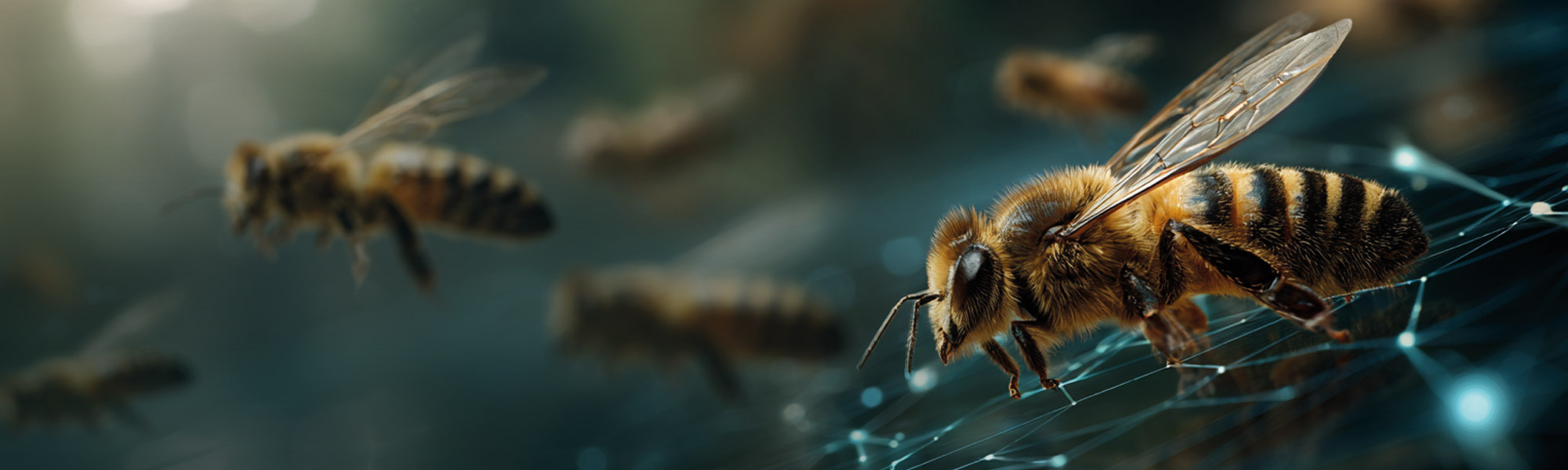 Hornetsecurity Onboarding