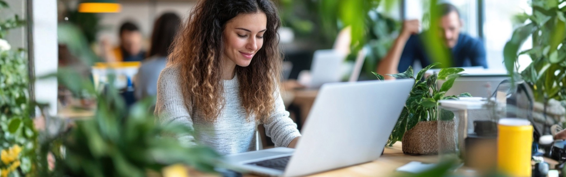 Microsoft Partner Program Updates: Juni 2026