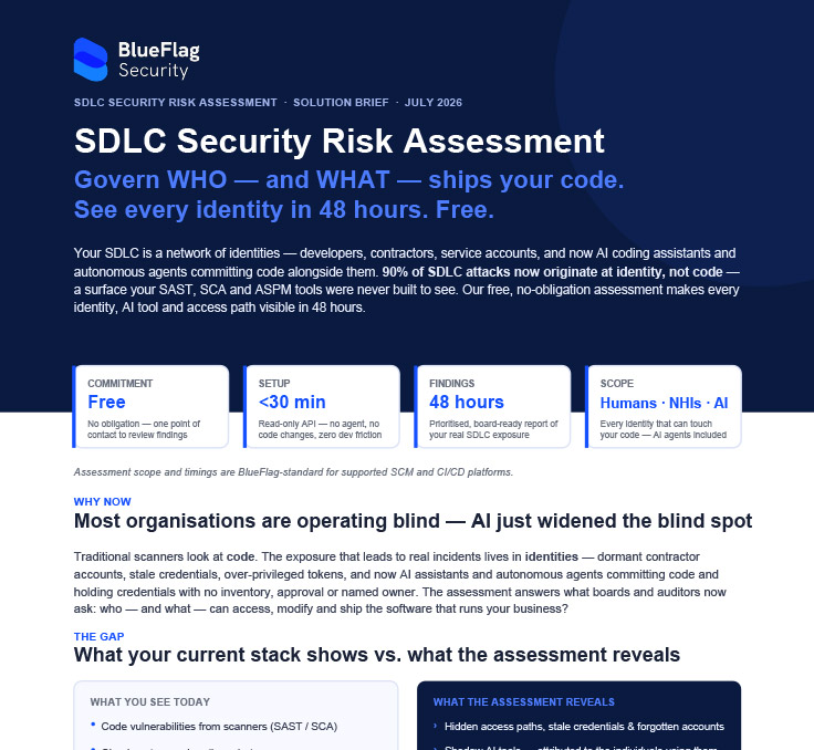 BlueFlag Security – SDLC Security Risk Assessment