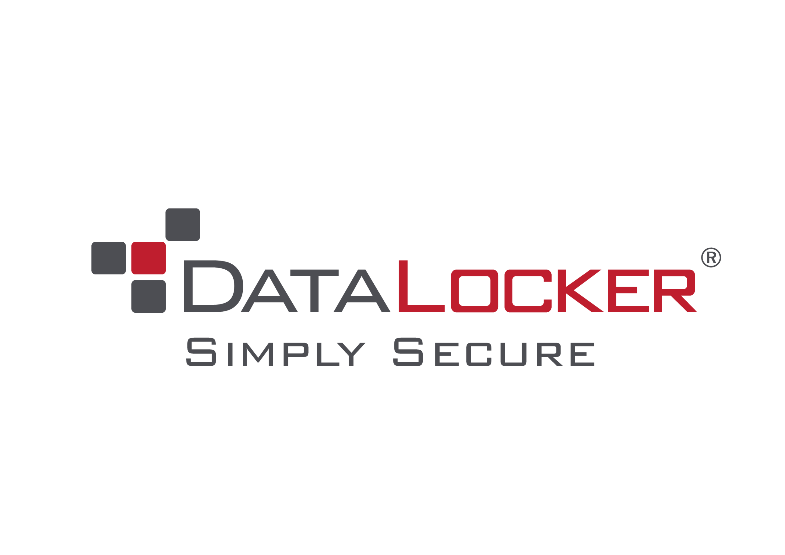 DataLocker encryption solutions