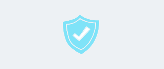 icon shield