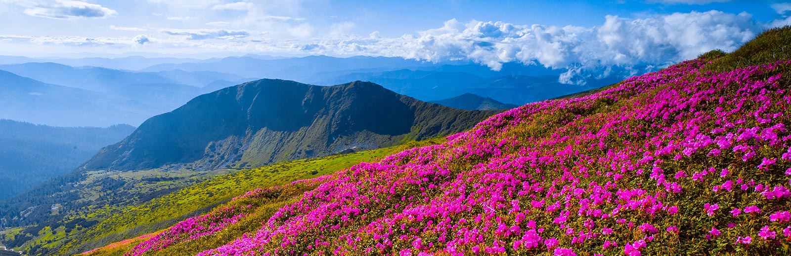 spring in romania