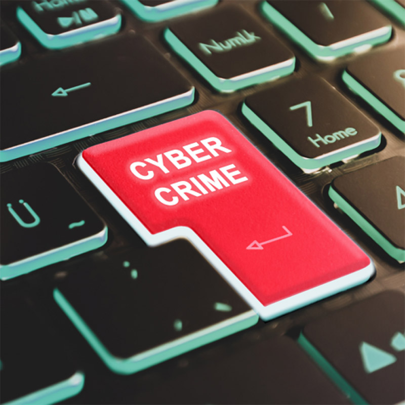 Cybercrime