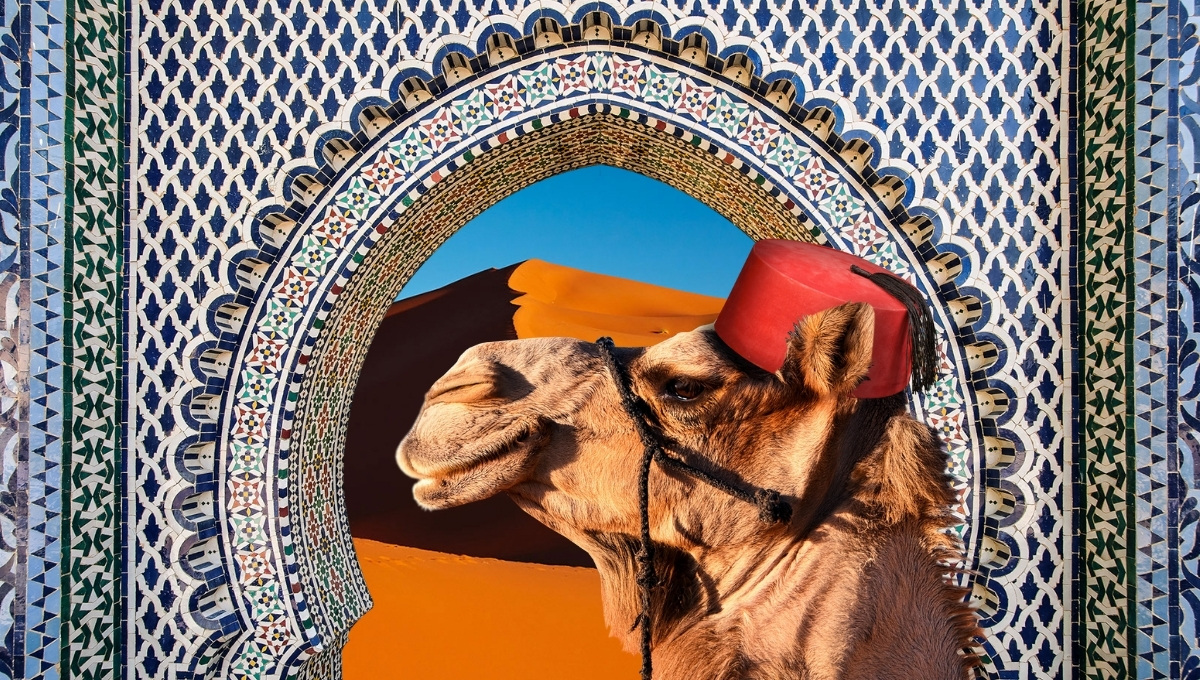 AI to Atlas - Journey to Marrakesh
