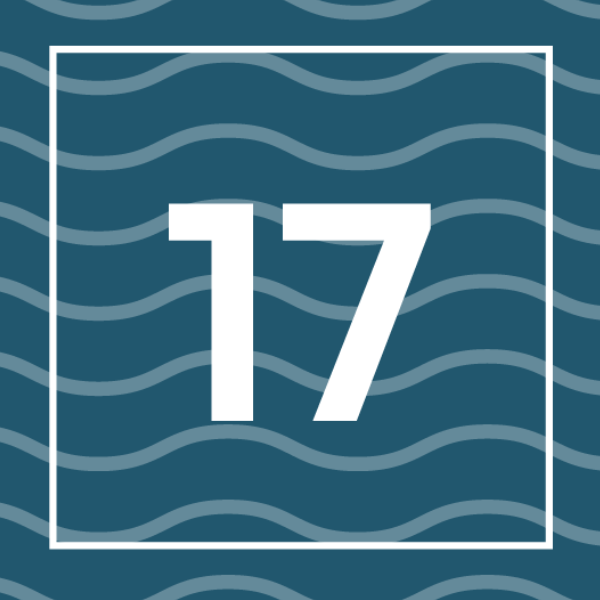 door-Day 17