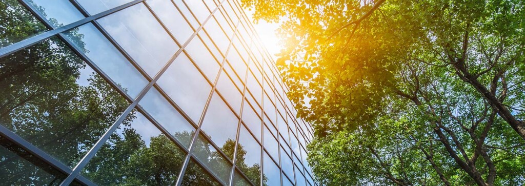 city building with trees